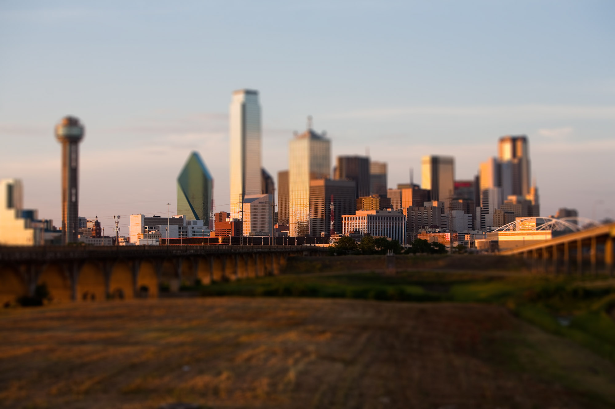 021-SF-DallasWeb