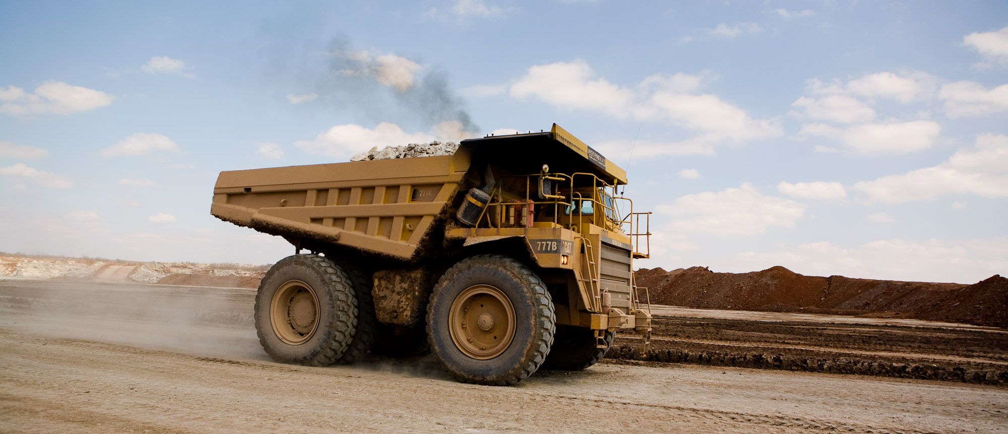 07-Cat777web